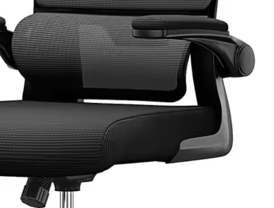 Ecliss Ergo+ - Chaise de Bureau Ergonomique